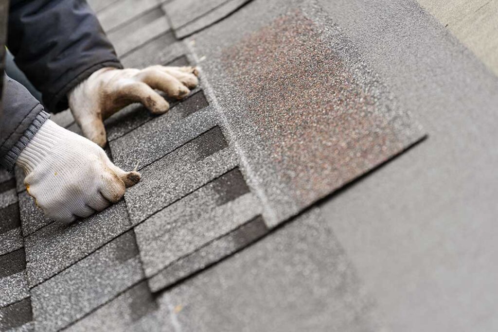 Sunlit asphalt shingles show fading, curled edges, and granules collecting near a roof gutter.